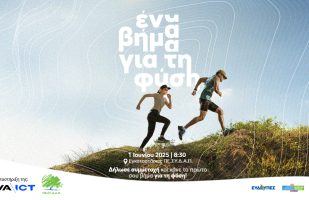 Smart Forest project in Mount Egaleo